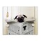 Stupell Industries Pug Reading Newspaper in Bathroom Canvas Wall Art
